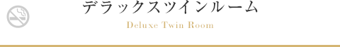 デラックスツインルーム Deluxe Twin Room